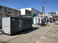 Niskie zużycie energii Przemysłowy generator tlenu PSA Praca automatyczna