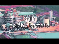 GENERATOR TLENIU VSA VPSA